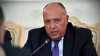 وزير الخارجية: إقامة الدولة الفلسطينية وحل الدولتين ضروري لإنهاء الصراع