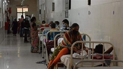 باحث في الأوبئة يكشف ظروف انتشار الفطر الأسود