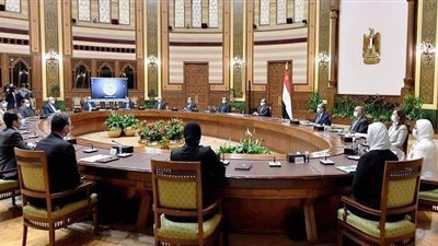 السيسي يطلع على عرض متكامل لمحاور مشروع تطوير الريف | صور