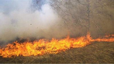 حريق يلتهم مساحات كبيرة من زراعات القمح في سوريا