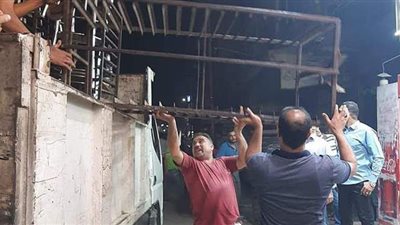 بالأرقام جهود أحياء الجيزة في التصدي للمخالفات وإغلاق المحلات المخالفة | صور