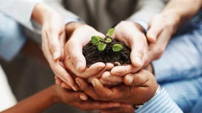 تعرف على العناصر الأساسية للتأمين المعياري.. وكيفية تحديده؟