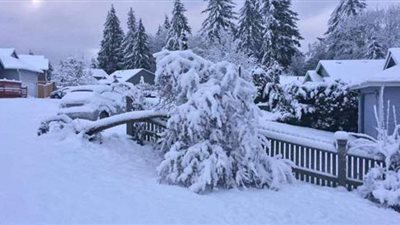 تفسير رؤية الثلج في المنام وعلاقته بالتخلص من الهموم والشفاء من الأمراض