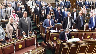 بالكوفية والكمامة.. النواب يتضامنون مع القضية الفلسطينية | صور