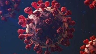 برلمانيون: مد العمل بمواعيد الغلق لمواجهة كورونا يلزمه تفعيل عقوبات المخالفين