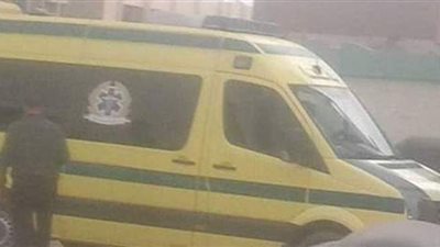 التحقيقات في مصرع عامل بالسفارة الروسية: باب إلكتروني أغلق على رأسه