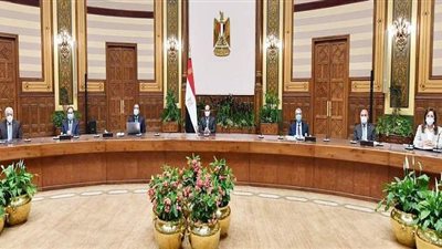 السيسي يوجه بتوفير كافة عوامل النجاح للمشروع القومي لتطوير قرى الريف