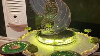 طلاب فنون تطبيقية حلوان يشاركون في تجميل ميادين العاصمة الإدارية