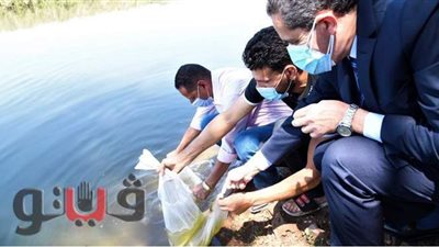 إلقاء ٤ ملايين زريعة سمك في قناة طنطا الملاحية | صور