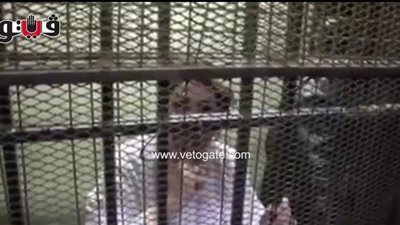 إيداع سعاد الخولي قفص الاتهام بمحاكمتها بتهمة الكسب غير المشروع