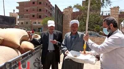 توريد 620 الف طن قمح لشون وصوامع الشرقية