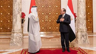 الإمارات: نؤمن بمركزية الدور المصري في قضايا المنطقة