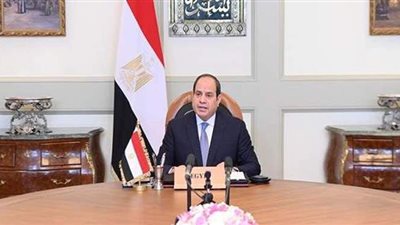 السيسي: أهمية تركيز الجهود لتحقيق الخير والسلام والتنمية لشعبي مصر وقطر