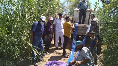 لدعم الثروة السمكية.. إلقاء مليون زريعة في نيل أجا وميت غمر بالدقهلية