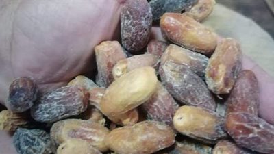 ضبط تمور غير صالحة للاستهلاك بسوق الحضرة في الإسكندرية