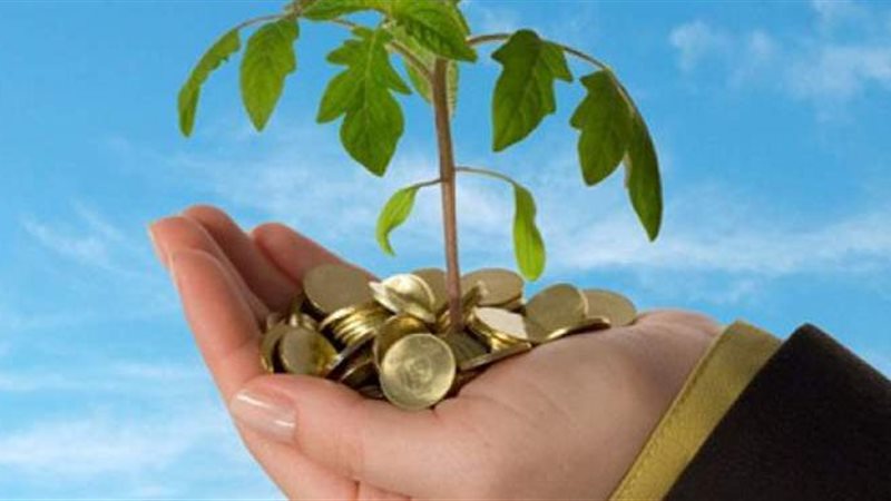 تعبيرى عن المشروعات
