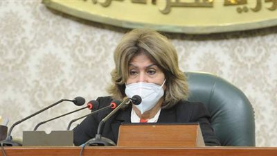 برلمانية: المطالبة بتحويل تكافل وكرامة لمصانع داخل القرى والنجوع خطوة جيدة