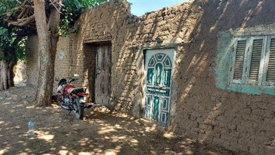 تفاصيل جديدة في مذبحة بنها.. جثث الضحايا مغطاة بشجر الموز.. ربة منزل تكتشف الواقعة بالصدفة.. والتحريات: مقتل الأب ونجليه ليس بدافع السرقة