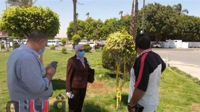 جامعة حلوان تشارك في أعمال تجميل المدينة