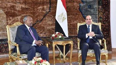 قمة مصرية – جيبوتية اليوم.. وملفات 