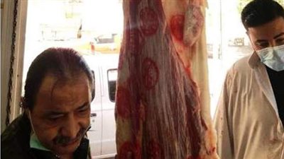 ضبط 10 أطنان لحوم وأسماك فاسدة بالشرقية