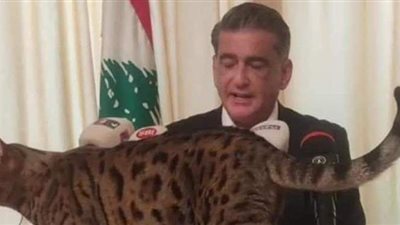 وقفت أمام الكاميرا.. موقف طريف لاقتحام قطة مؤتمرا صحفيا بلبنان | فيديو