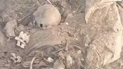 النيابة تأمر بإعادة دفن 10 جماجم بعد العثور عليها بطريق قليوب الحر