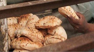 محاضر بالجملة لتموين الإسكندرية على المخابز