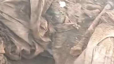 محافظ القليوبية عن واقعة العثور على جماجم: انتهاك لحرمة الموتى