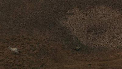 إنذار طارئ من الجفاف.. البرازيل تتأهب لأسوأ موجة منذ 91 عامًا