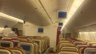 خفاش يجبر طائرة هندية على تغيير مسارها والعودة للمطار | فيديو