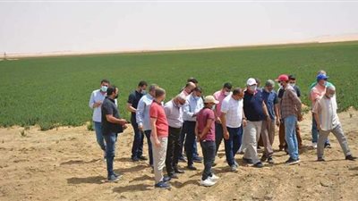 محافظ الوادى الجديد يتفقد مشروعا زراعيا لإنتاج النعناع