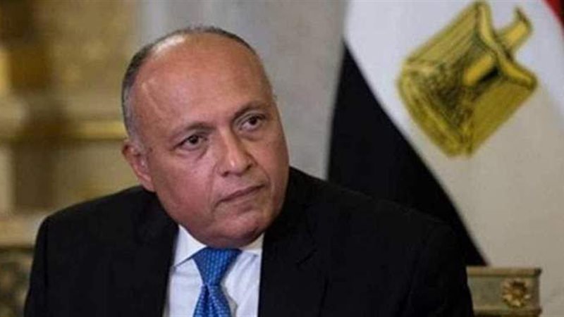 سامح شكري وزير الخارجية