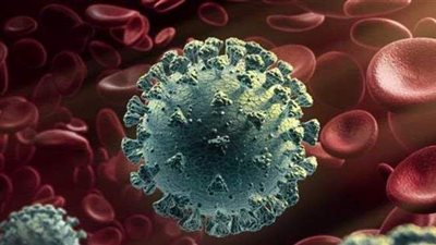 القومي للبحوث: مصر بها خليط لأكثر من سلالة لكورونا ولا وجود للسلالة الهندية