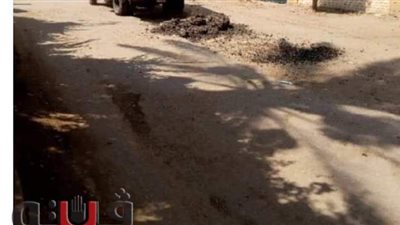 رصف طريقي السنطة الجعفرية والسنطة كفر الحاج داود يوليو وأكتوبر المقبلين