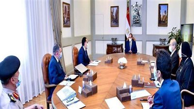 تكليفات رئاسية جديدة لوزيري الصناعة وقطاع الأعمال بحضور مدبولي