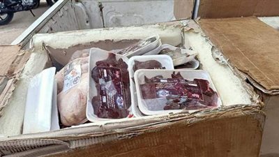 ضبط 10 أطنان كبدة ودواجن فاسدة ببولاق الدكرور وكرداسة | صور