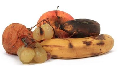 معهد التغذية يكشف خطورة فطريات الخضروات والفاكهة وعلاقتها بـ «الفطر الأسود»