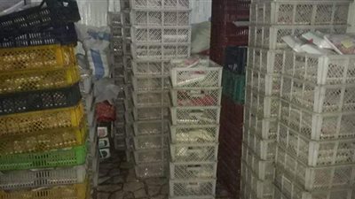 ضبط 13 طن أسماك مملحة ولحوم فاسدة بفيصل والعمرانية