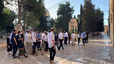 لحظة اقتحام مستوطنين للأقصى واعتقال عشرات الفلسطينيين | فيديو