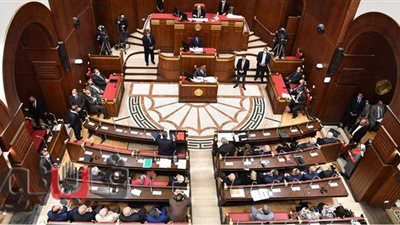 مجلس الشيوخ يوافق على تشكيل مجلس أمناء صندوق الطوارئ الطبية