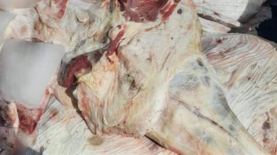 ضبط سيارة بأسوان محملة بلحوم جاموسة مذبوحة خارج المجزر | صور