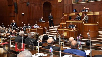 نائب يطالب بضم المستشفيات الجامعية لصندوق الطوارئ الطبية