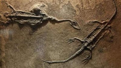 أخطر مكان في العالم