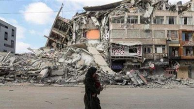 حامى حمى فلسطين.. العمدة: قدمنا عشرات الآلاف من الشهداء والمصابين..الشهاوي: لا حل سوى إقامة الدولة الفلسطينية وعاصمتها القدس