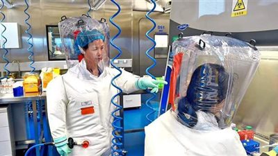 دراسة تبرئ الخفاش من أصل كورونا.. وتؤكد تصنيعه مخبريا