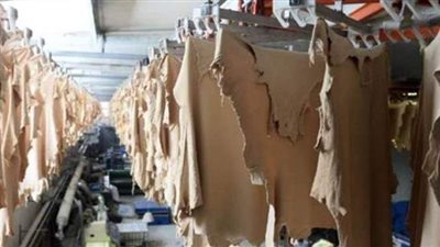 تعرف على أسباب ارتفاع صادرات مصر من المنتجات الجلدية خلال الـ 4 شهور من العام الحالى