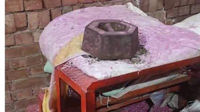 ضبط أكثر من 11 طن تقاوى في محطة غربلة غير مرخصة في المنوفية