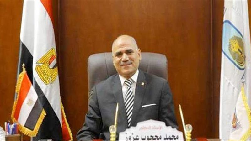 الدكتور محمد محجوب