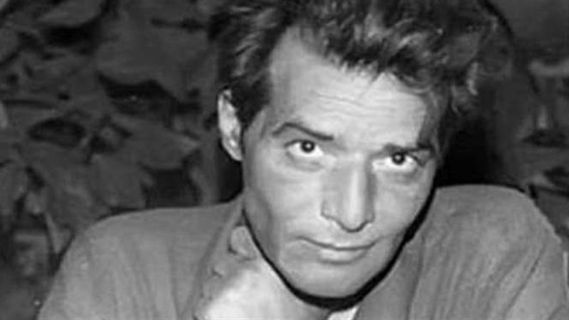 نجيب سرور